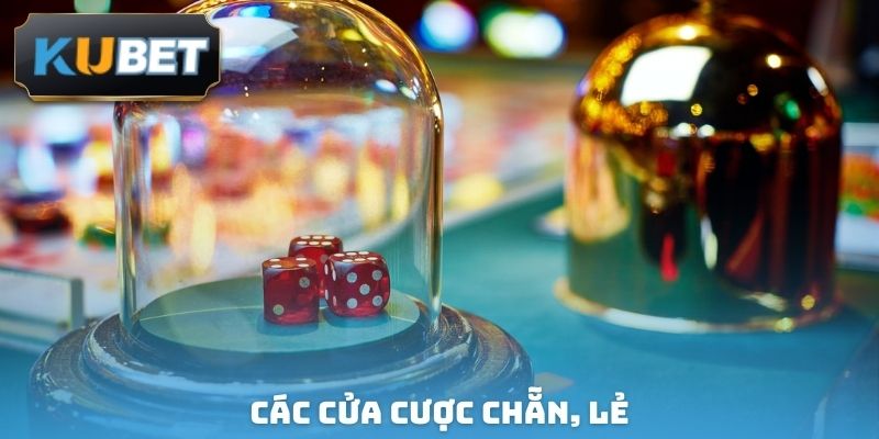 Các cửa cược chẵn, lẻ