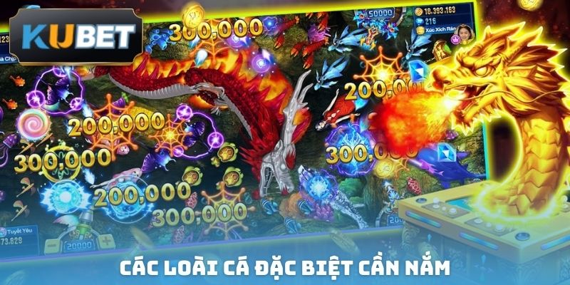 Các loài cá đặc biệt cần nắm